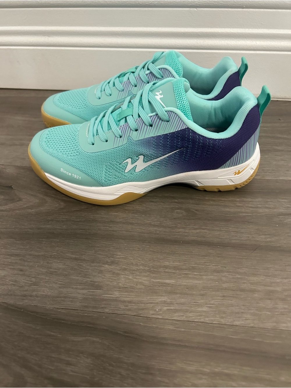 Unisex Tennis Pickleball Badminton Shoes for Men & Women Court Shoes